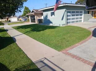 Madeline V.'s lawn service service result