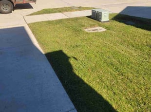 Mike S.'s turf care service result
