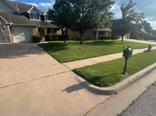 John S.'s grass cutting service result
