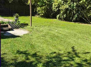 Karen C.'s lawn care services service result