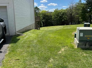 Architha K.'s lawn care services service result