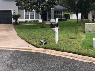 Eric H.'s lawn care service result