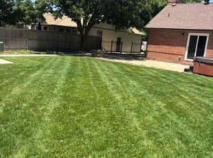 Marianne B.'s yard maintenance service result