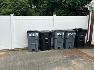 Sabir F.'s grass maintenance service result