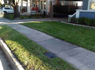 Amanda W.'s lawn service service result