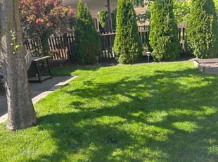 Kelley M.'s lawn care service result