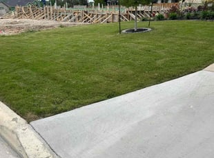 Ellis M.'s lawn maintenance service result