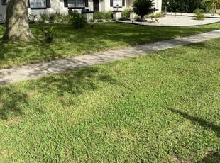 Chamour L.'s turf care service result