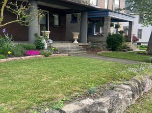 Steve M.'s grass cutting service result
