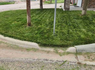 Don Y.'s grass maintenance service result