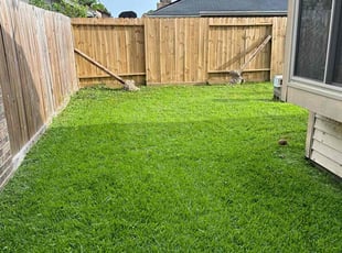 Melissa M.'s turf care service result