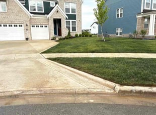 Kanan T.'s lawn care service result