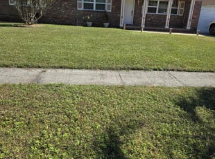 Kirkwood V.'s grass maintenance service result