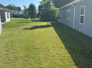 Michael K.'s grass maintenance service result