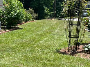 Michael W.'s grass cutting service result