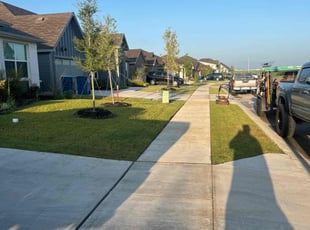 Ayesha B.'s turf maintenance service result