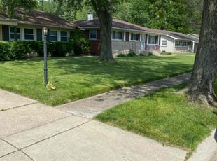 Caressa E.'s lawn care service result