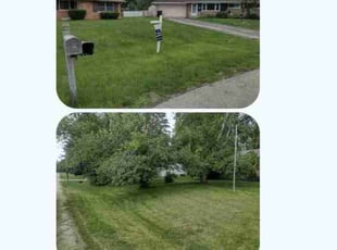 Kevin K.'s grass cutting service result