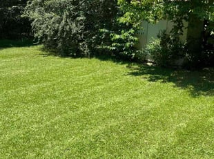 Shunta S.'s lawn care service result