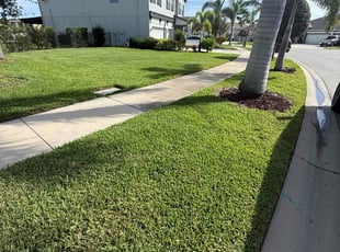 Crystal F.'s lawn care service result