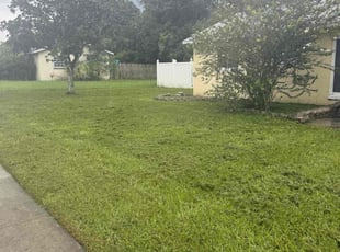 Darlene J.'s grass cutting service result