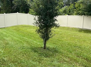 Christopher M.'s lawn care service result