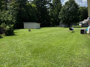 Cameron A.'s turf maintenance service result