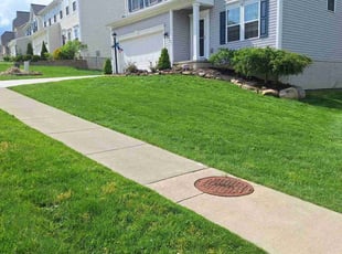 Spencer D.'s grass cutting service result