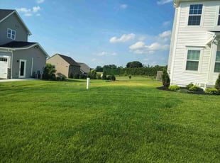 Gary L.'s grass cutting service result
