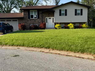 Brian H.'s lawn care services service result