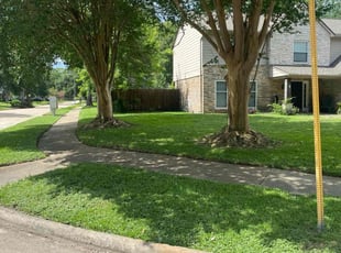 Joanne Z.'s grass maintenance service result