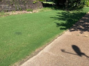 Markel H.'s lawn care services service result