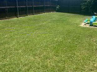 Meshia S.'s grass cutting service result
