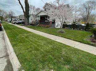 Alix H.'s grass maintenance service result