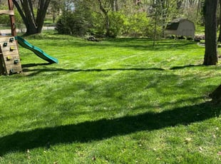 Heather W.'s lawn maintenance service result