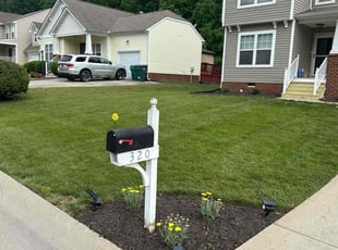 Mary M.'s lawn care service result
