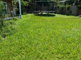 Colin M.'s grass cutting service result