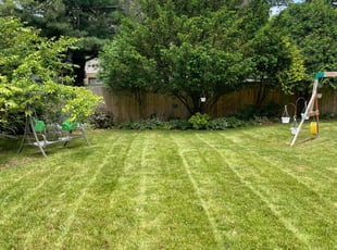 Douglas S.'s lawn service service result