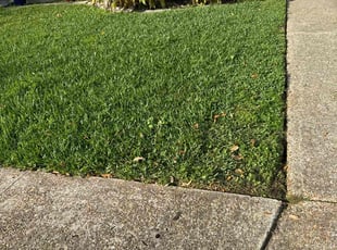 Dennis O.'s lawn maintenance service result