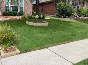Claudia S.'s lawn care services service result