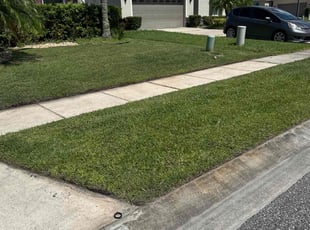 Rolla P.'s grass cutting service result