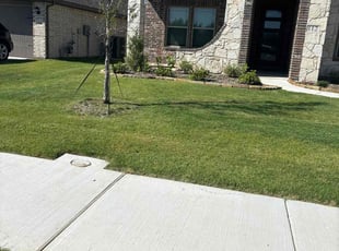 Amy H.'s lawn service service result