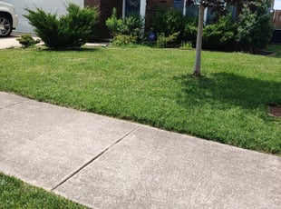 John W.'s turf maintenance service result
