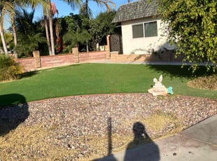 Derek P.'s Long Grass Cleanup service result