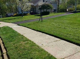 Monica W.'s lawn care service result