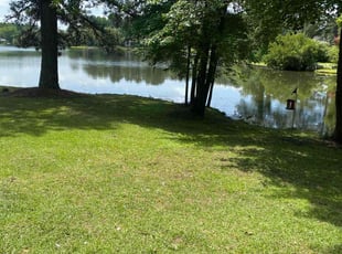 Kimberly S.'s lawn service service result