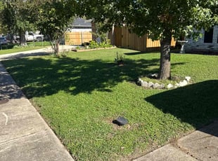 Gary P.'s grass maintenance service result