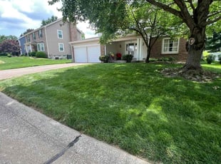 Travis D.'s Bush Trimming service result