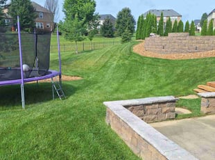 Nagarjuna P.'s lawn service service result