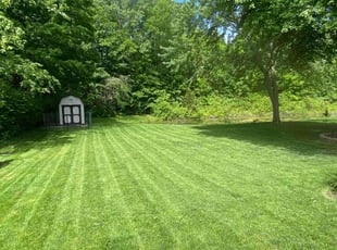 Michael L.'s grass maintenance service result